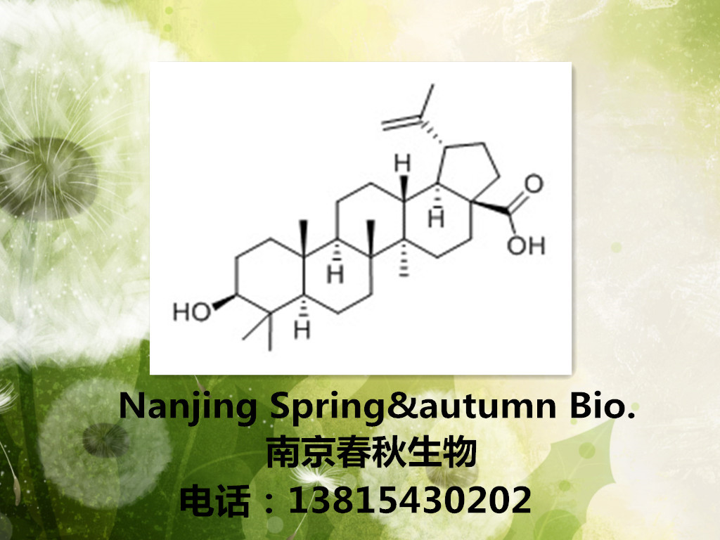白桦脂酸472-15-1 Betulinic acid