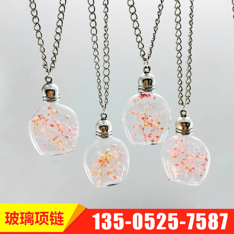 厂家直销 韩版项链 创意漫天星干花系列 玻璃瓶吊坠 可定制图片