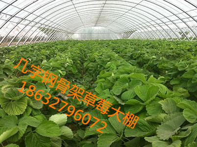 新型几字钢骨架 为种植大棚保驾护航  新型几字钢骨架  种植大棚