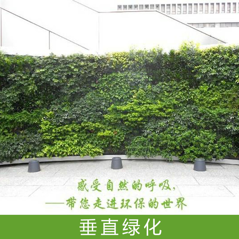 楼体绿化工程垂直绿化室内外墙上花园垂直绿化仿真/活体植物墙图片