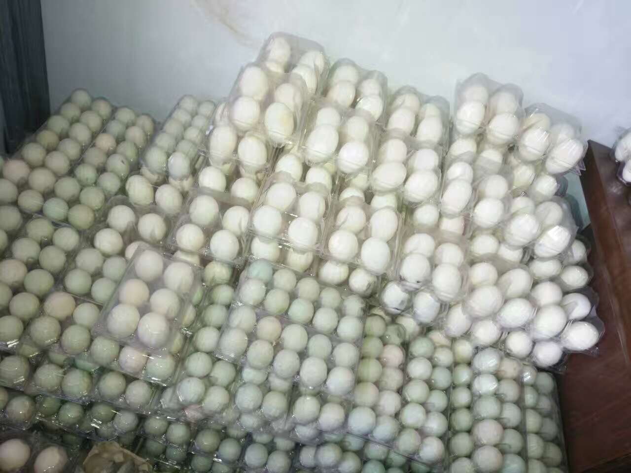 三原县鸭蛋销售  鸭蛋养殖