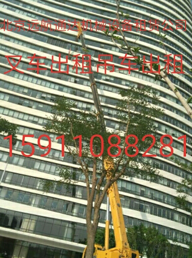 北京海淀区叉车出租 北京专业吊车租赁公司电话图片