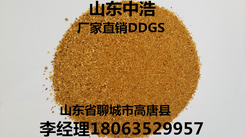 玉米DDGS   喷浆玉米皮   玉米蛋白粉
