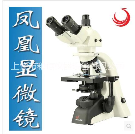 江西凤凰生物显微镜PH100-2B41L-IPL双目光学放大1600倍 厂家直销