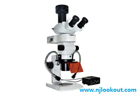 江苏荧光显微镜 荧光显微镜厂家 荧光显微镜的行业优选