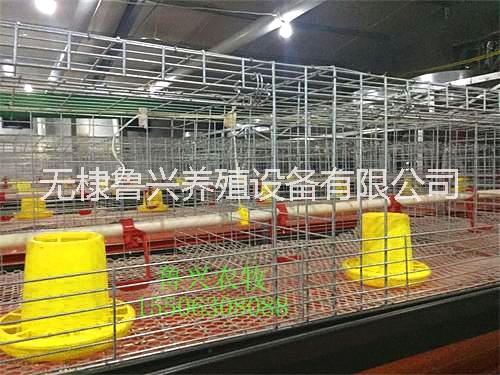 欣鲁兴自动化养鸡设备 肉鸡养殖设备无棣鲁兴养殖设备有限公司