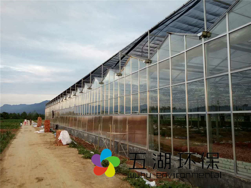 温室大棚【1】玻璃温室大棚施工【2】日光温室大棚造价【3】蔬菜温室大棚价格