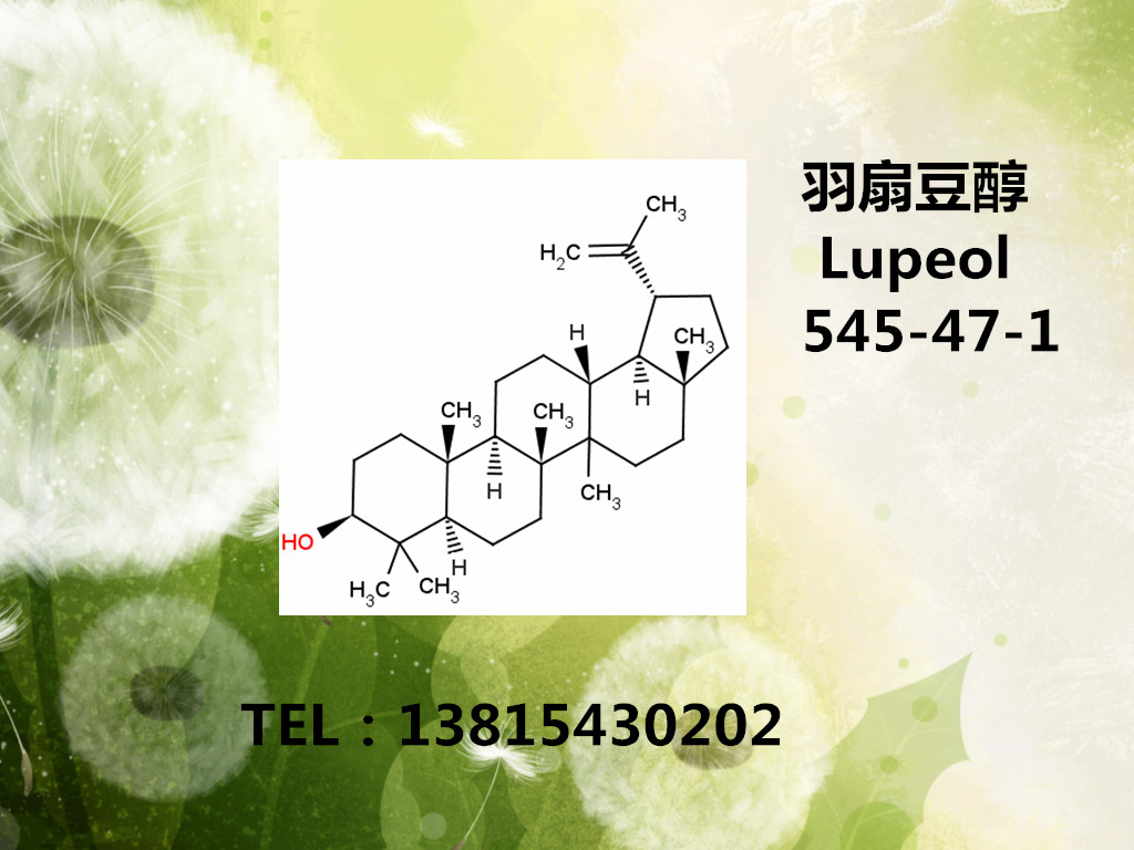 羽扇豆醇/Lupeol/545-47-1/蛇麻醇酯