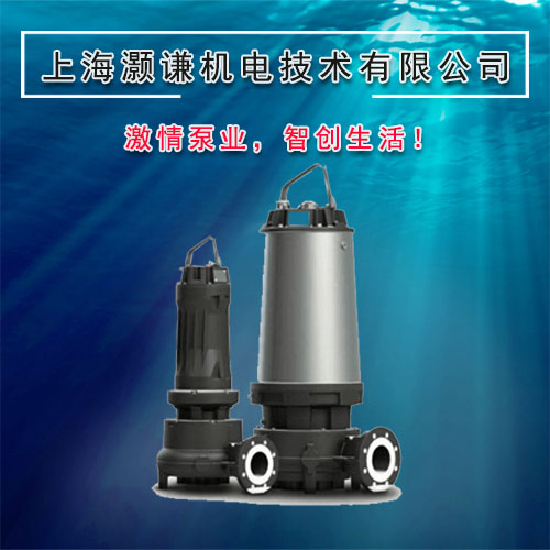 进口DCP排污泵 德国原装进口污水泵 上海灏谦机电（基格泵业）