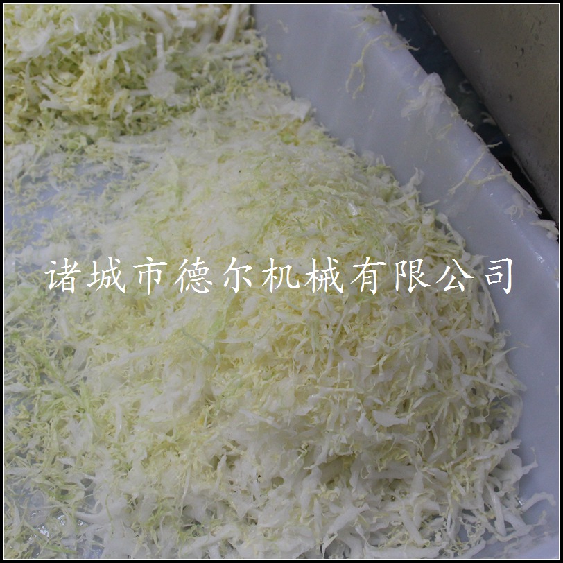 潍坊市叶菜类切菜机厂家叶菜类切菜机厂家直销双头 全自动切菜机