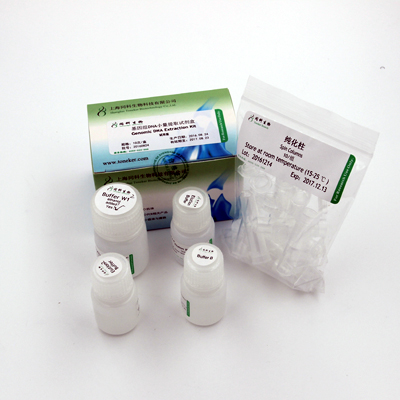 同科生物基因组DNA小量提取试剂盒价格,报价