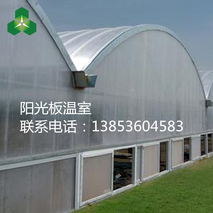 pc板温室大棚 山东阳光板温室大棚基地 pc板温室大棚的价格规格