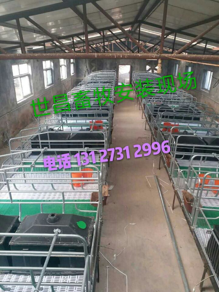 沧州市养猪设备母猪产床厂家