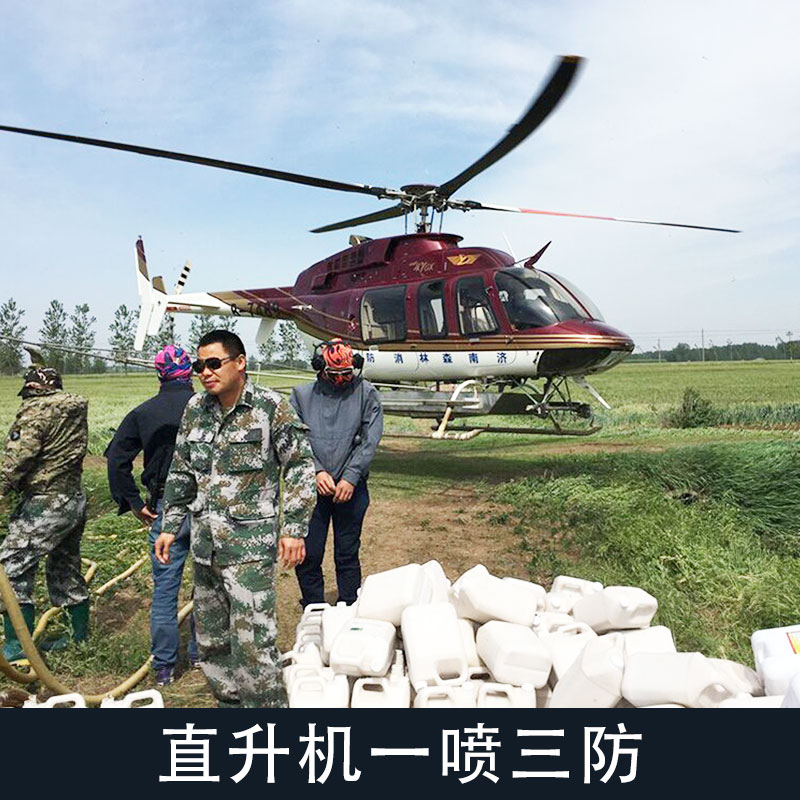 供应直升机一喷三防 直升机农林喷洒冬小麦主产区 防害预防服务图片