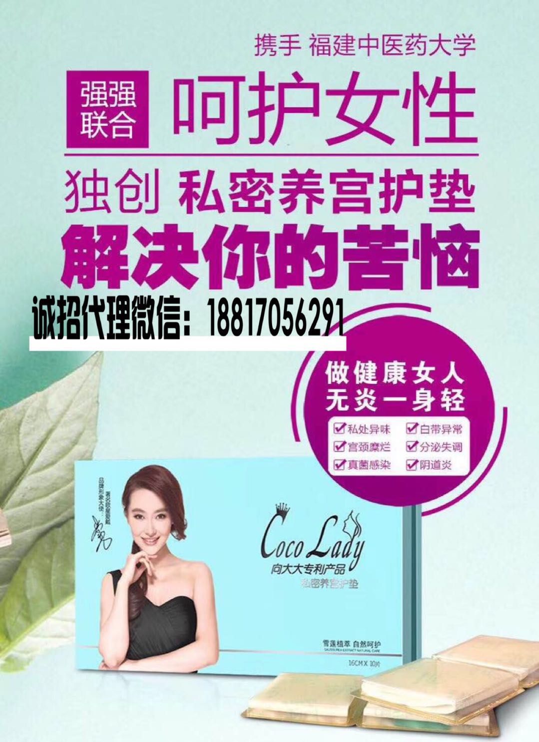 CoCo lady养宫护垫――女性私密的护理专家朱凌