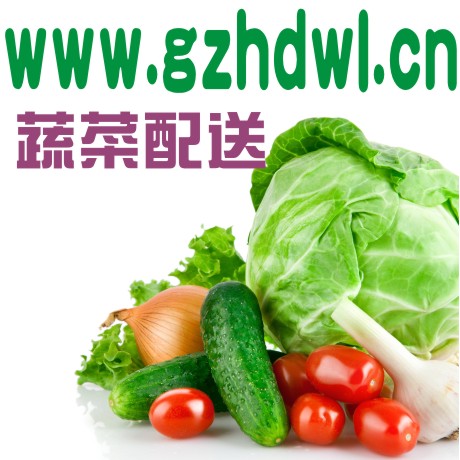 白云区蔬菜配送  广州鲜一百蔬菜 白云区蔬菜配送广州鲜一百蔬菜公司图片