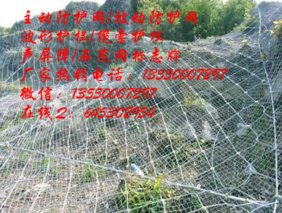 绿色主动防护网-包塑主动防护网-铜仁主动防护网厂家图片