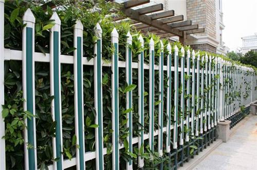 花园小区绿化用护栏 PVC塑钢护栏  市政园林防护  锌钢护栏
