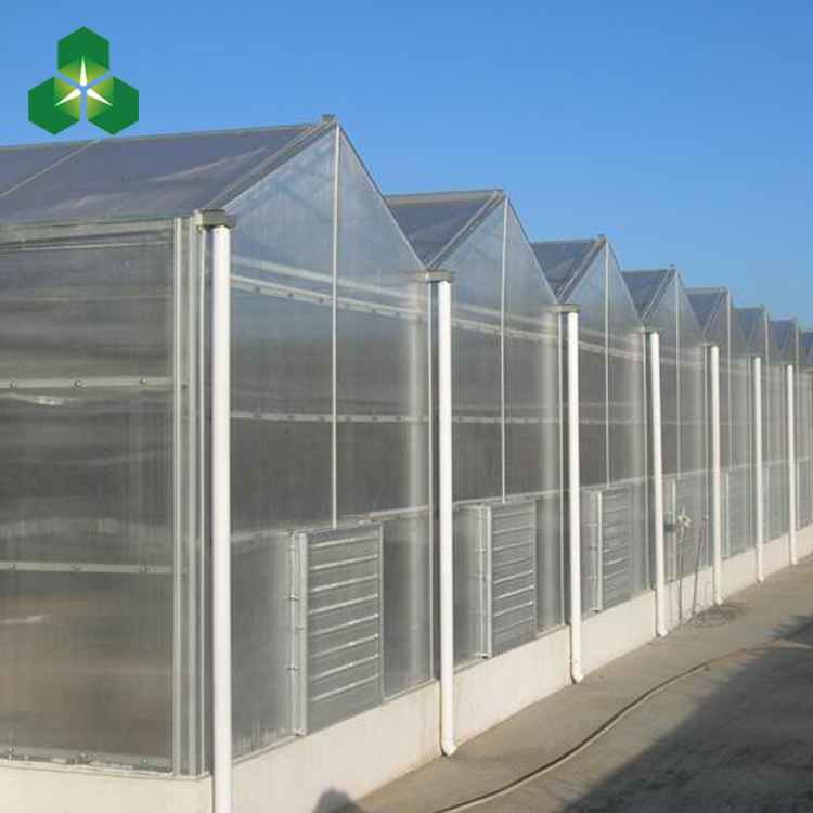 供应阳光板温室厂家阳光板温室大棚配件阳光板拱棚单栋阳光板温室大棚图片