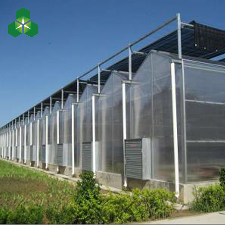 建造阳光板温室 建造薄膜温室大棚厂家 阳关板温室厂家直销价格低