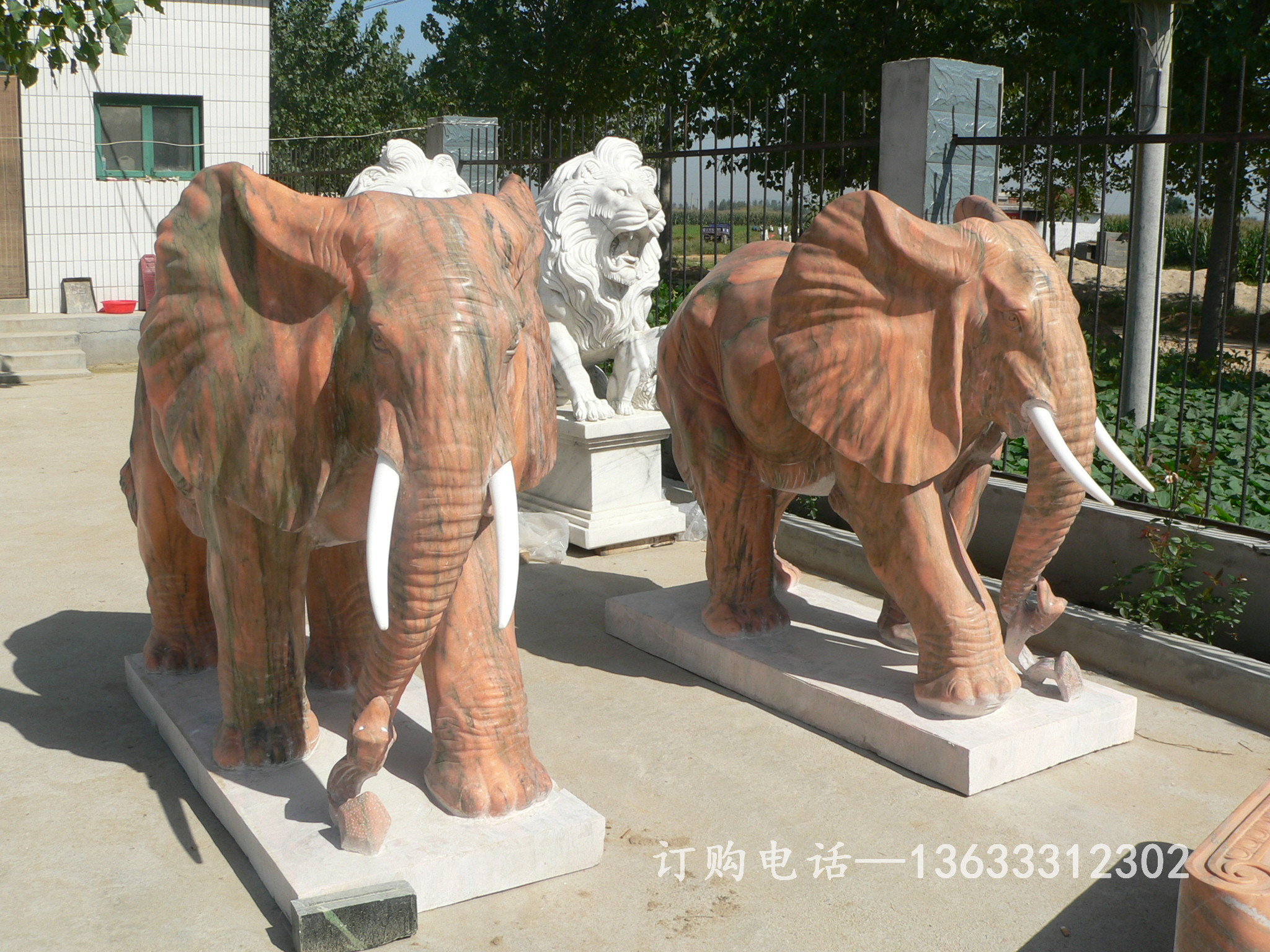 河北省供应石雕大象雕塑门墩一对