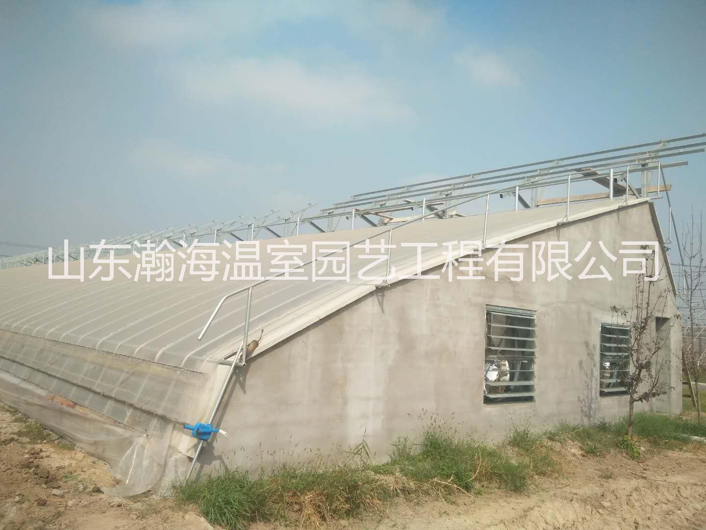 潍坊市单体日光温室厂家单体日光温室