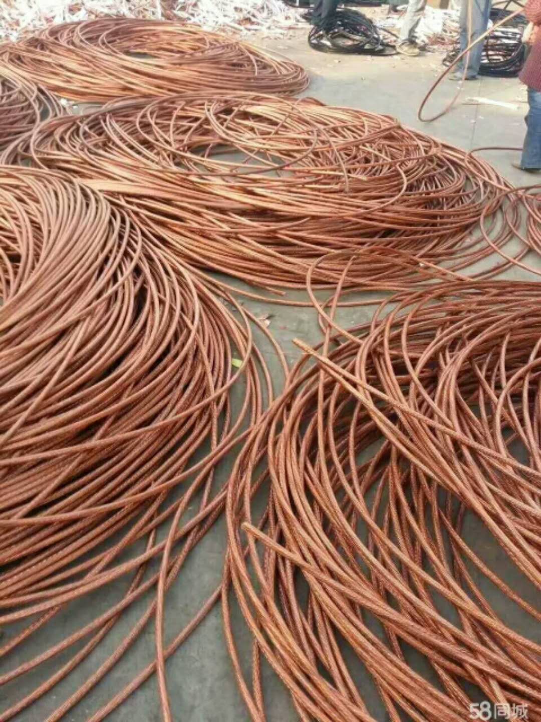 废电缆回收 哈尔滨废电缆回收价格 哈尔滨废电缆回收今日厂家价格
