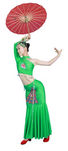 傣族舞蹈服装 成都宏园服装供应傣族舞蹈服装