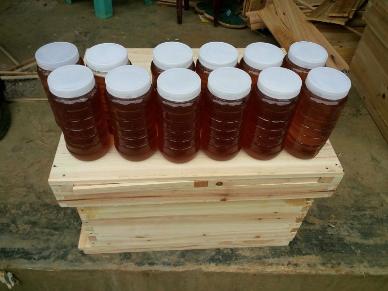 贵州蜂蜜  贵州蜂蜜销售 贵州蜂蜜厂 贵州蜂蜜厂家直销图片