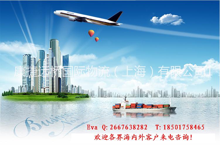 上海- 上海-日本东京国际空运