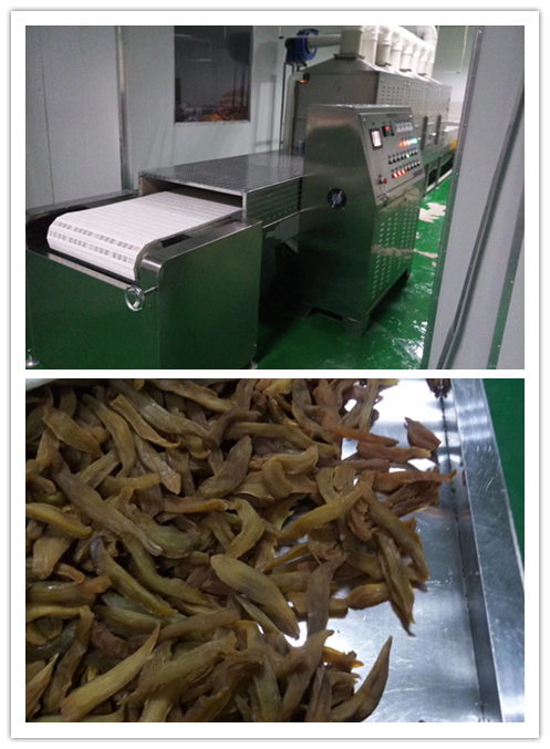 广州红薯干微波杀菌机厂家