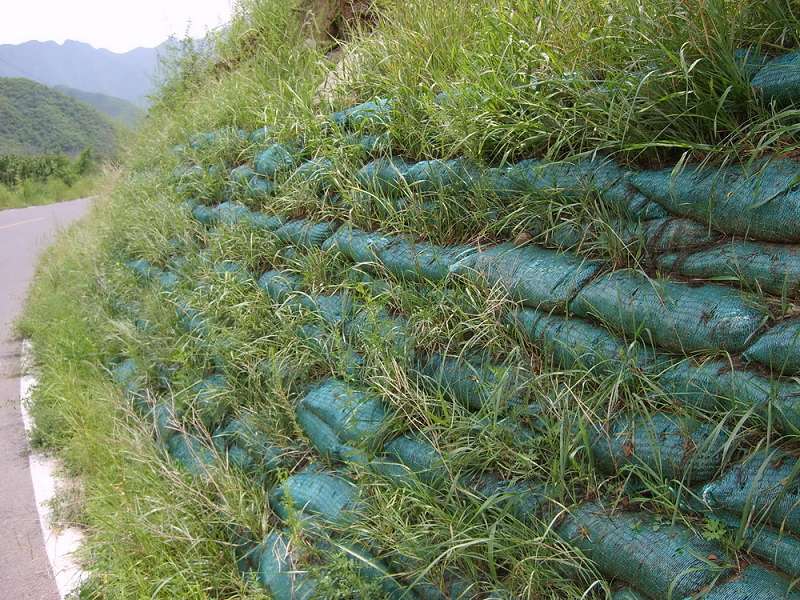 生态修复 边坡绿化 环境工程 植生袋 植生袋柔性护坡工程技术