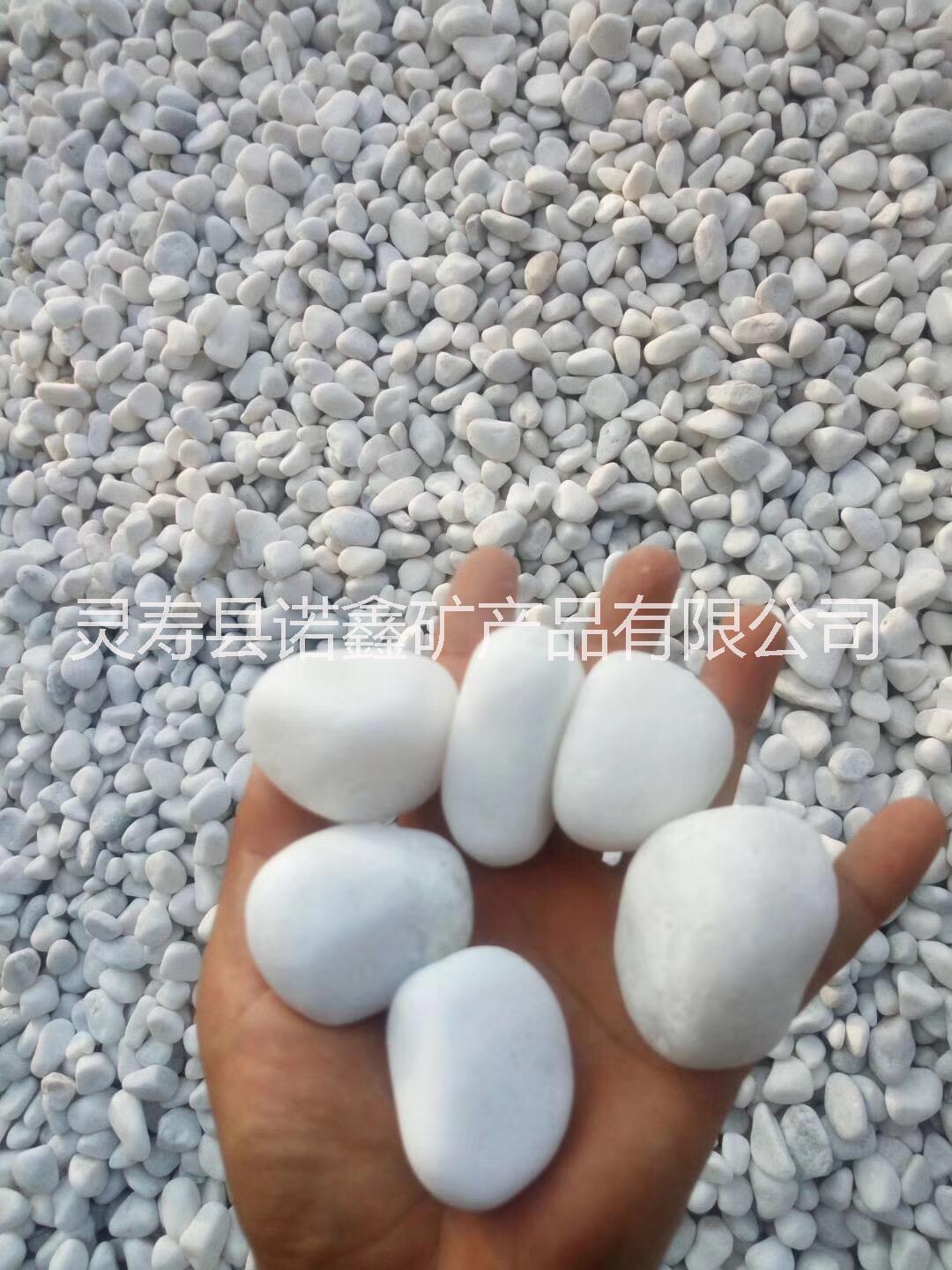 厂家直销 园艺白石子白石头 景观白色鹅卵石 白色水洗石石子图片