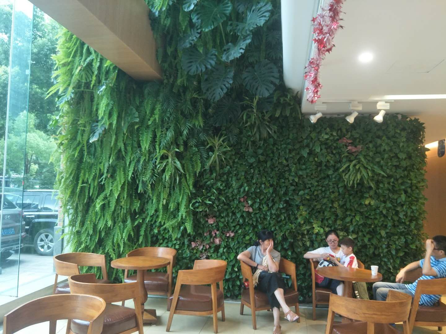 供应植物墙 杭州枫桓绿化植物墙