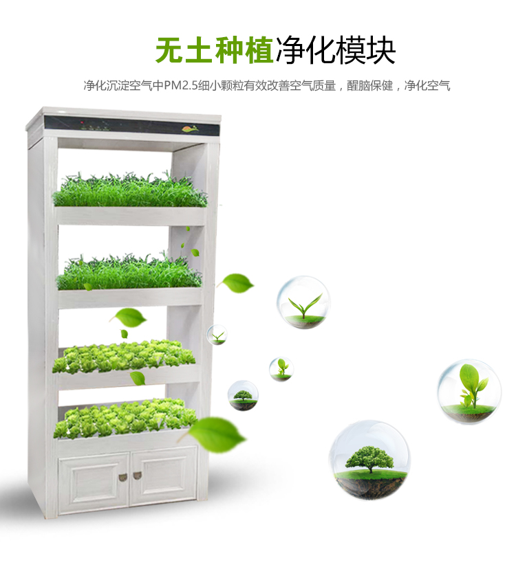 全智能生态菜氧柜智能植物工厂室内批发