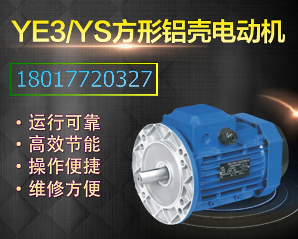 YS8014铝壳电机生产厂家