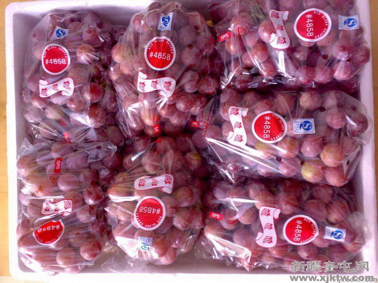 上海立疆供新疆乌鲁木齐葡萄保鲜袋批发