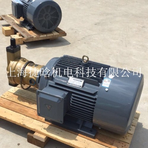 YQB100L1-4内插油泵电机 2.2KW油泵专用三相异步电机图片