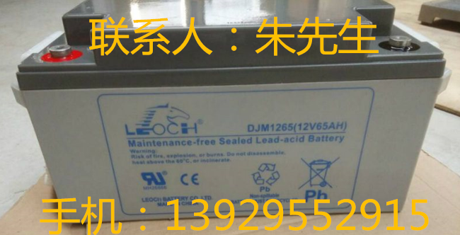 LEOCH电池DJM1265 12V65AUPS电源后备电池直流屏电瓶图片