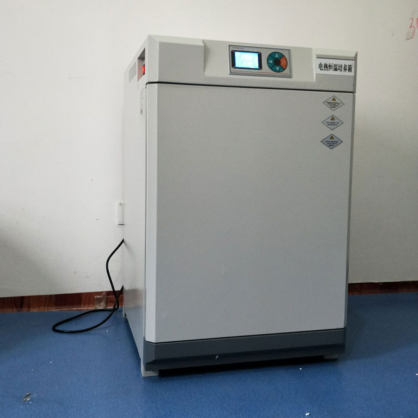 电热恒温培养箱DHP-9082图片