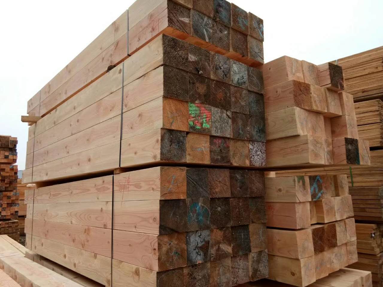 美国花旗松木征服全世界木材厂家