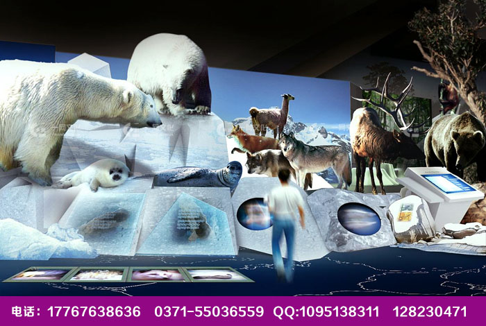 郑州国庆节海洋生物展 海狮表演图片