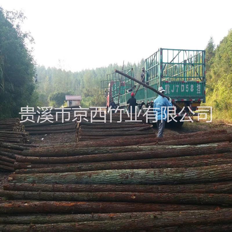 厂家大量批发2米-4米杉木杆 绿化支撑杆图片