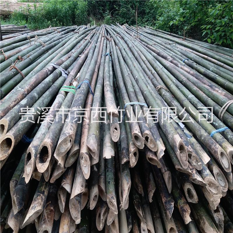 大量供应6米竹竿 树木支撑果蔬大棚竹竿图片
