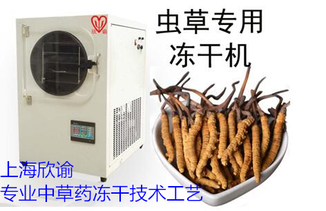 虫草冻干机XY-FD-L4上海欣谕中药冻干机实验室生物真空冷冻干燥机药品冷冻干燥机