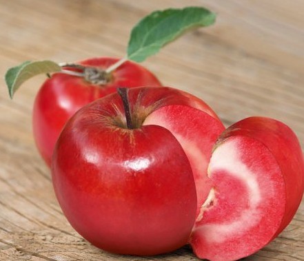 红色之爱鲜食红肉苹果，优质苹果新品种，极好吃的苹果，苹果树苗批发，苹果树苗价格，极甜的红肉苹果