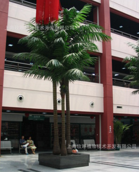 上海仿真椰子树厂家直销 上海仿真椰子树工厂 仿真椰子树供应商 上海仿真椰子树价格