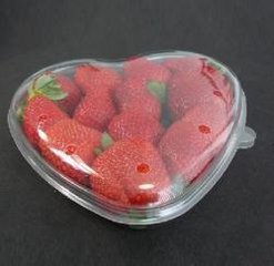 吸塑盒水果类包装胶盒 食品吸塑盒图片
