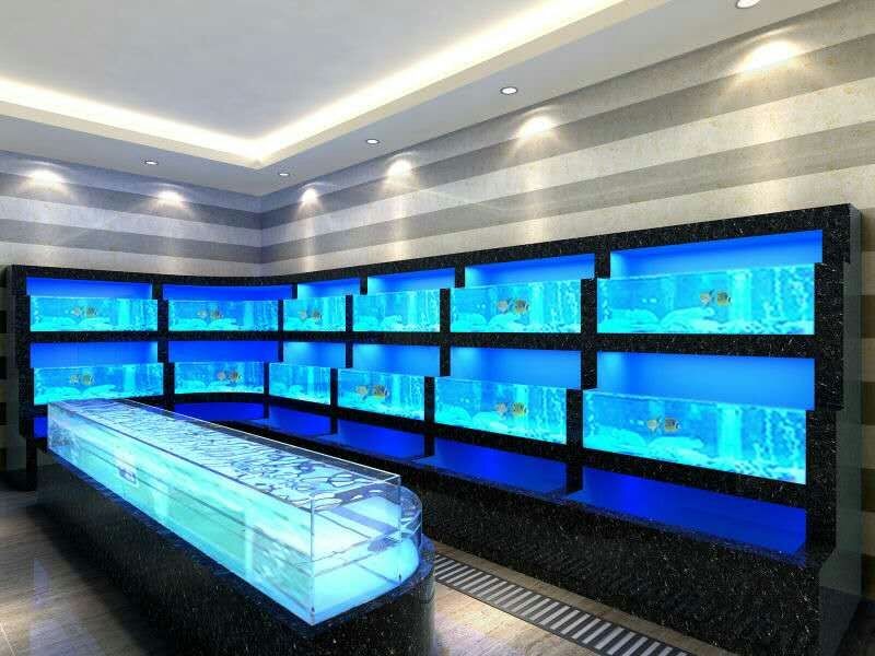 杭州市玻璃鱼缸定制厂家