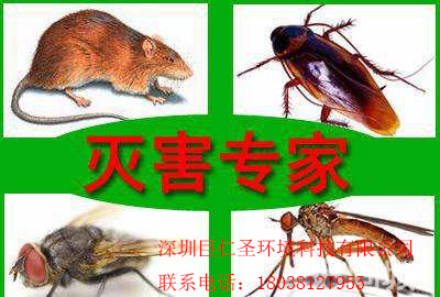 深圳杀虫公司深圳市巨仁圣环境科技专业快速上门杀虫服务公司中国排名最前杀虫公司图片